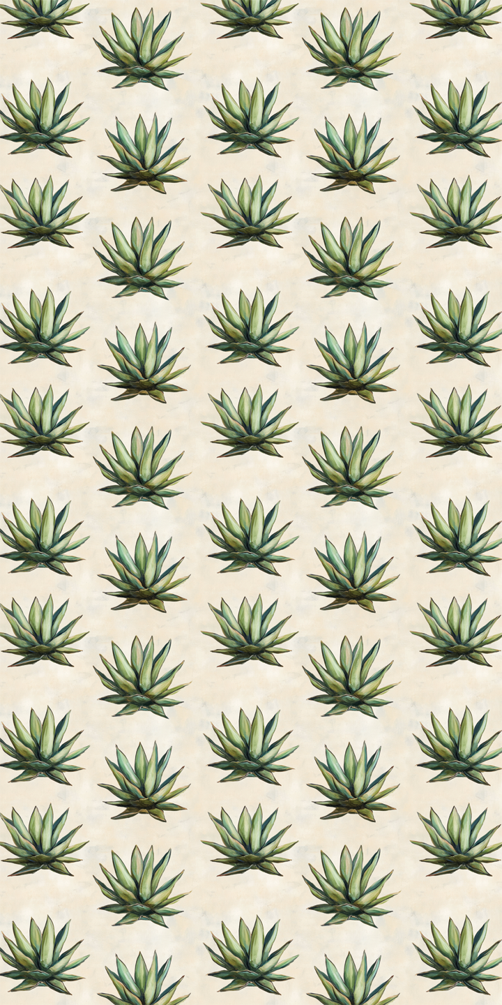 Agave Aura
