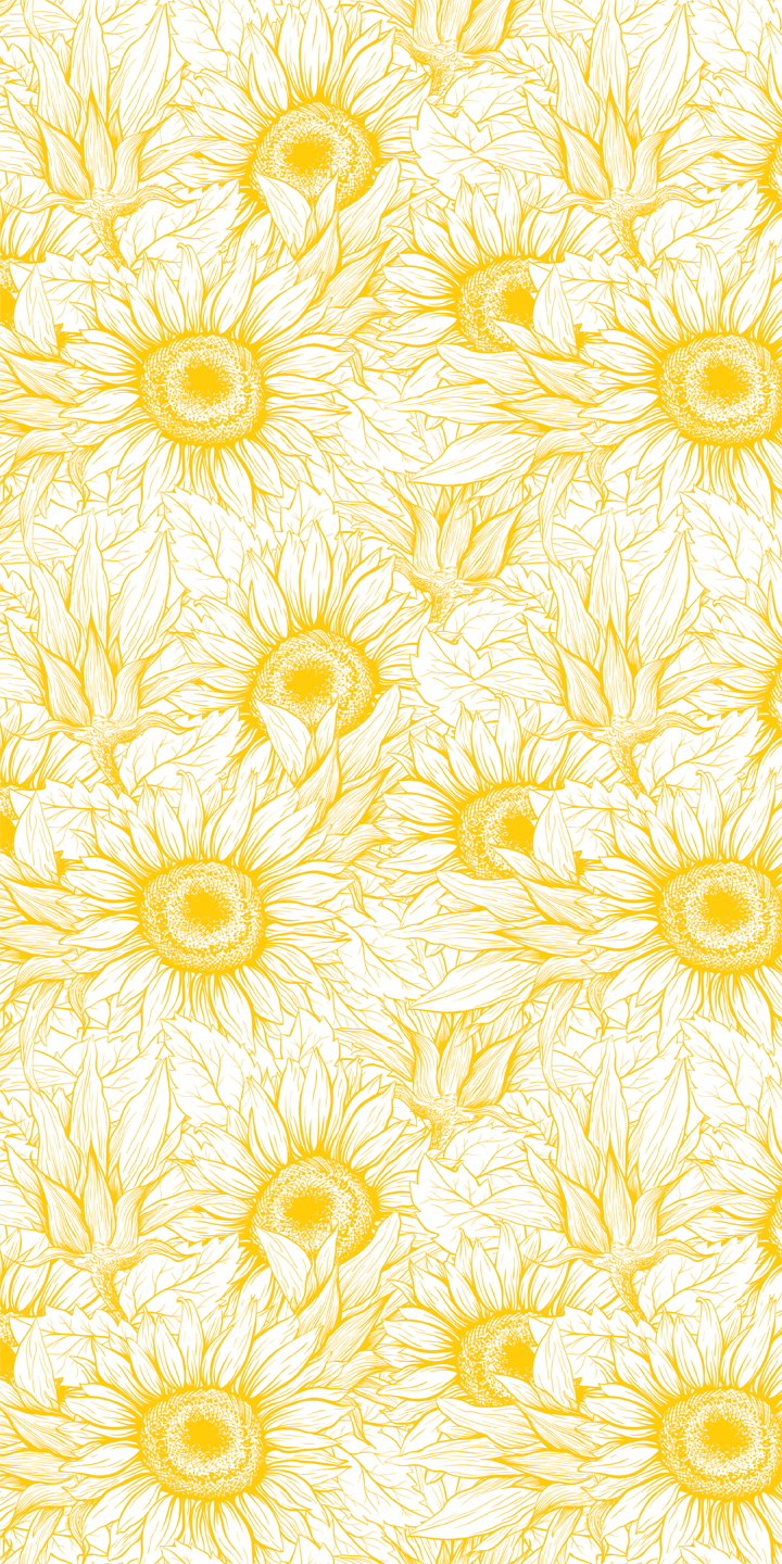 Sunshine Fields