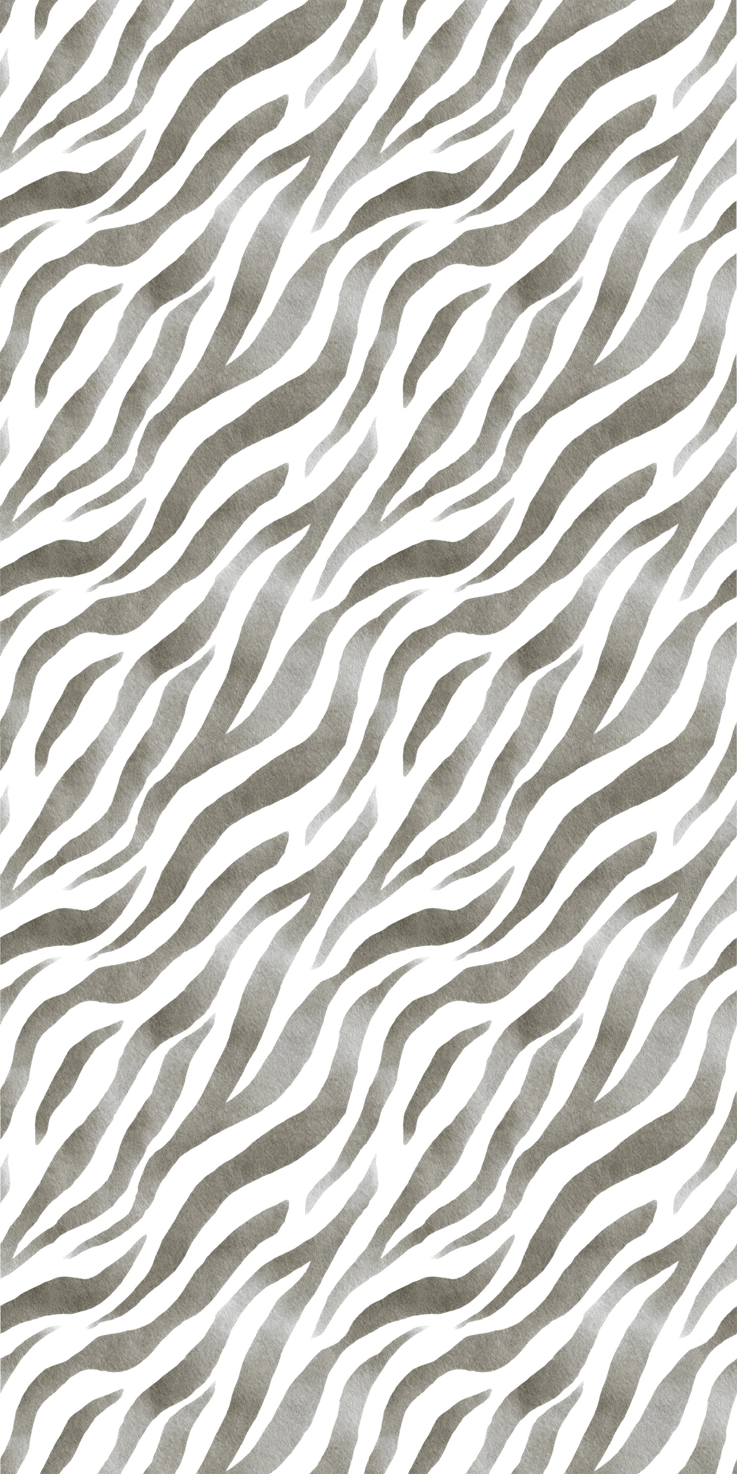 Shadow Zebra