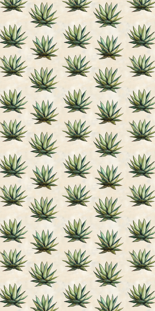 Agave Aura