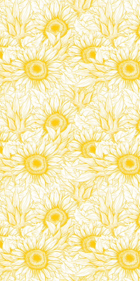 Sunshine Fields